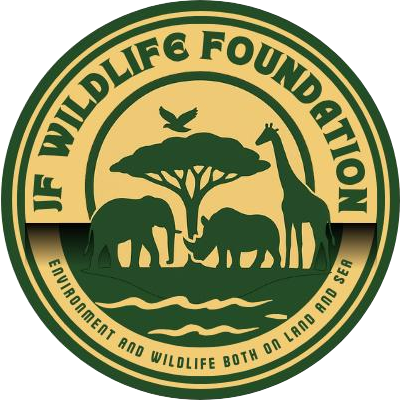 JF Wildlife Foundation 
